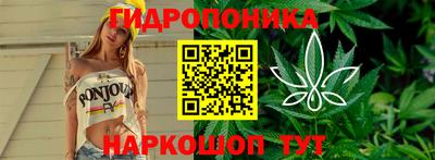 мдпв Аша