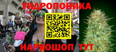 мдпв Аша