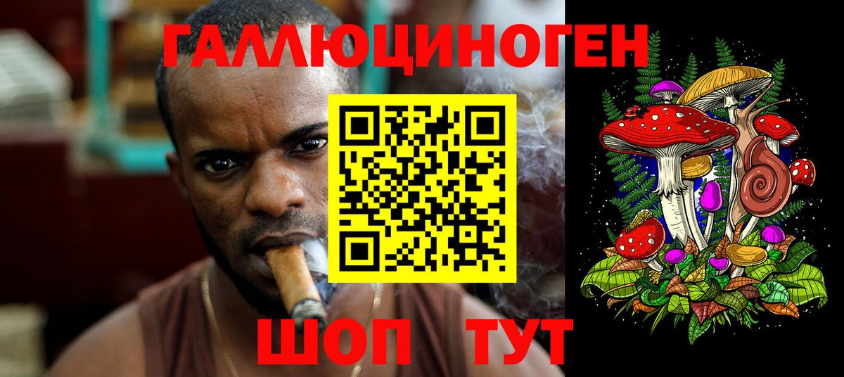 Псилоцибиновые грибы прущие грибы Ачхой-Мартан